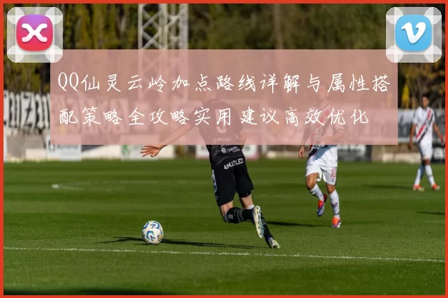 QQ仙灵云岭加点路线详解与属性搭配策略全攻略实用建议高效优化