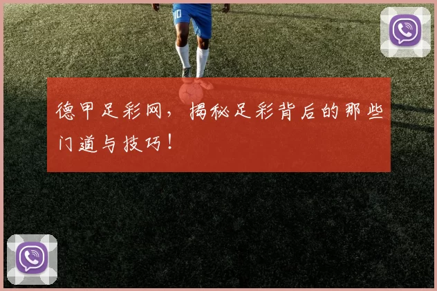 德甲足彩网，揭秘足彩背后的那些门道与技巧！