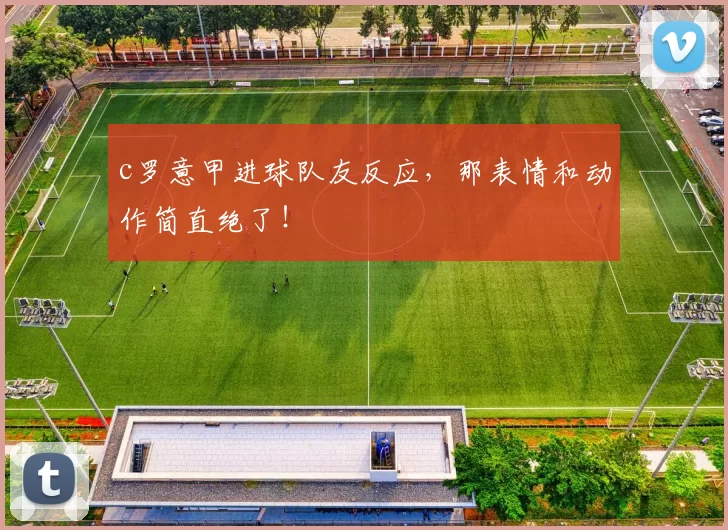 c罗意甲进球队友反应，那表情和动作简直绝了！