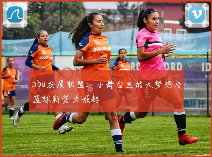 nba发展联盟：小舞台里的大梦想与篮球新势力崛起
